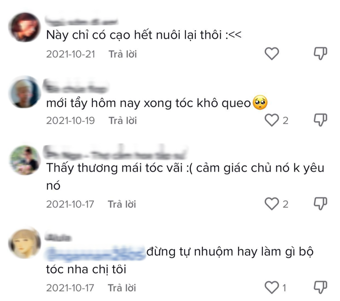 Tẩy tóc tại nhà  - Ảnh 6.