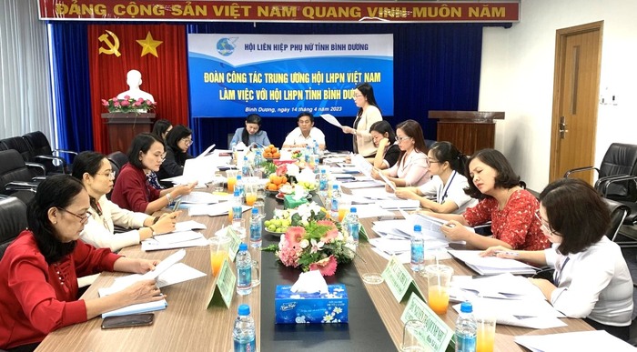 Hội LHPN Việt Nam giám sát chuyên đề năm 2023 tại Bình Dương - Ảnh 1.