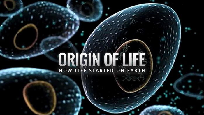 Sự sống trên Trái Đất bắt nguồn từ đâu? - Ảnh 1.