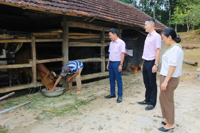 Trợ lực giúp người yếu thế phát triển kinh tế, cải thiện chất lượng sống  - Ảnh 1.