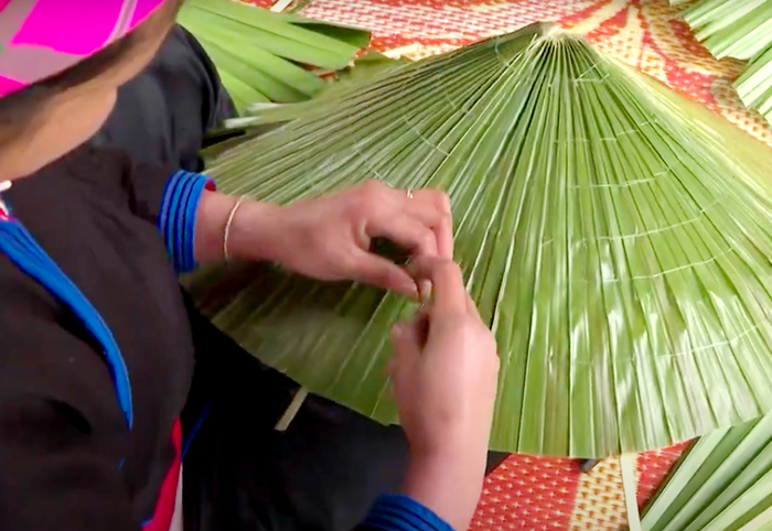 Phụ nữ dân tộc Tày phát huy sản phẩm bản địa từ nón lá cọ - Ảnh 2.