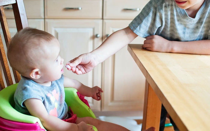 Dầu thực vật hay mỡ động vật: Lựa chọn nào tốt cho sức khỏe?