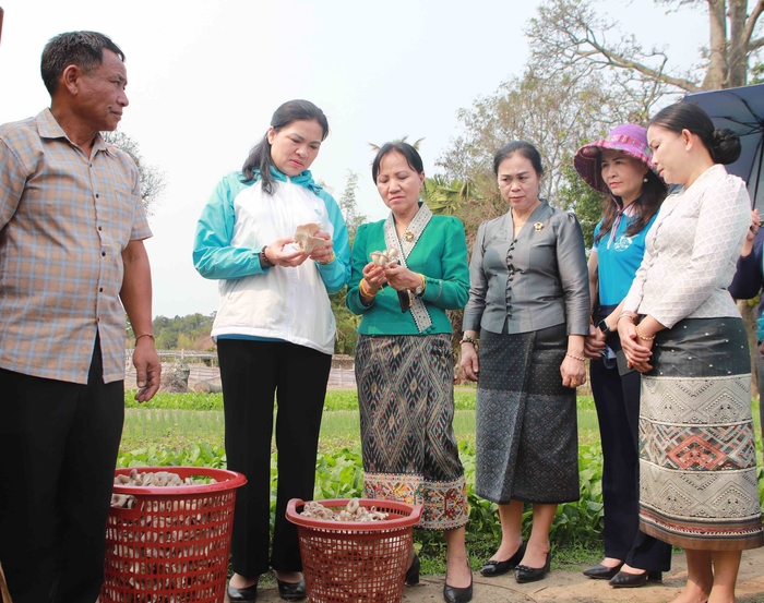 Đoàn cấp cao Hội LHPN Việt Nam hoàn thành chuyến thăm tốt đẹp CHDCND Lào - Ảnh 4.