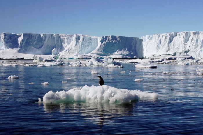 Các nhà khoa học phát hiện &quot;thế giới khác&quot; ẩn sâu hàng nghìn mét dưới lớp băng ở Nam Cực - Ảnh 6.