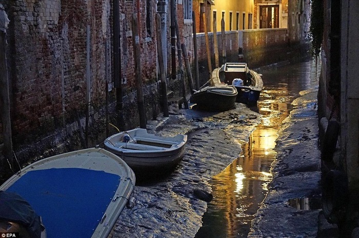 Tại sao “Thành phố nổi” Venice gần 2.000 năm vẫn đứng vững dù xây bằng nền gỗ? - Ảnh 3.