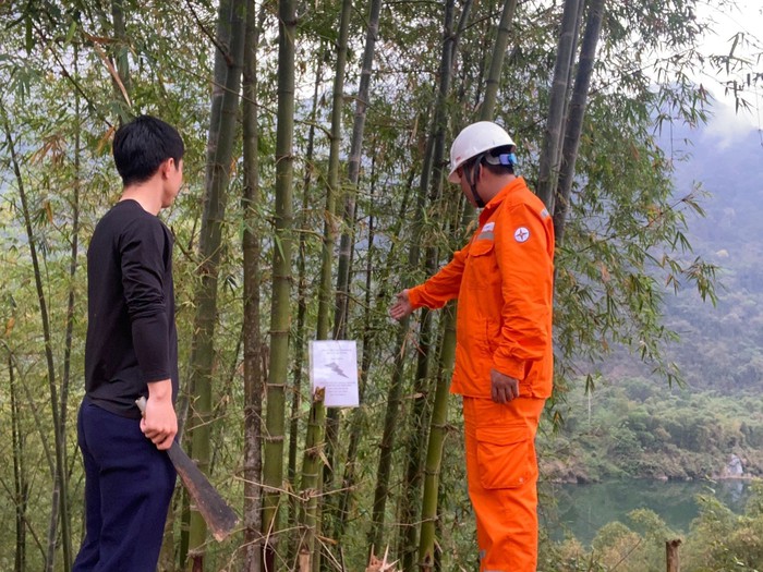 Chung tay đảo đảm hành lang an toàn lưới điện trên địa bàn tỉnh Thanh Hóa  - Ảnh 2.