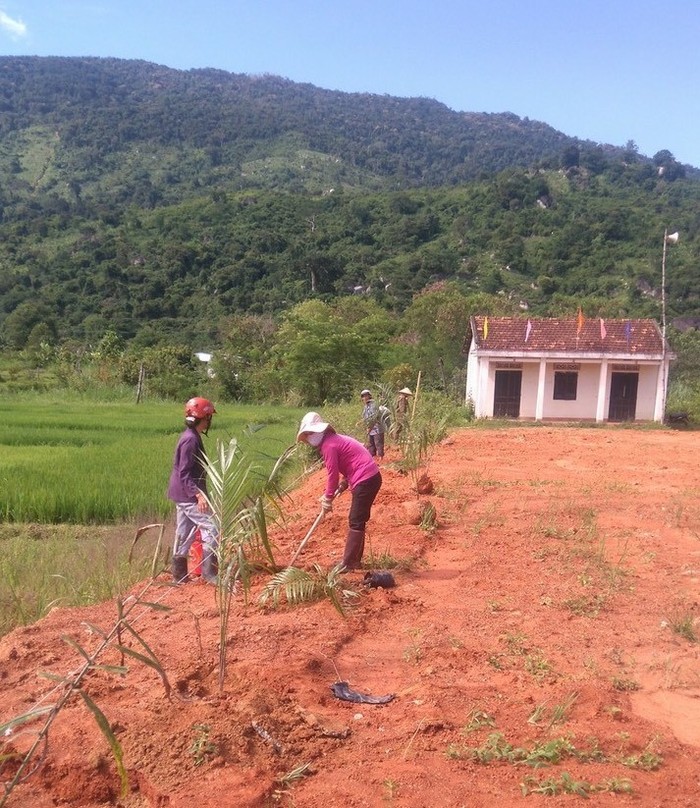 Đắk Lắk khởi sắc sau 12 năm thực hiện chương trình nông thôn mới - Ảnh 3.