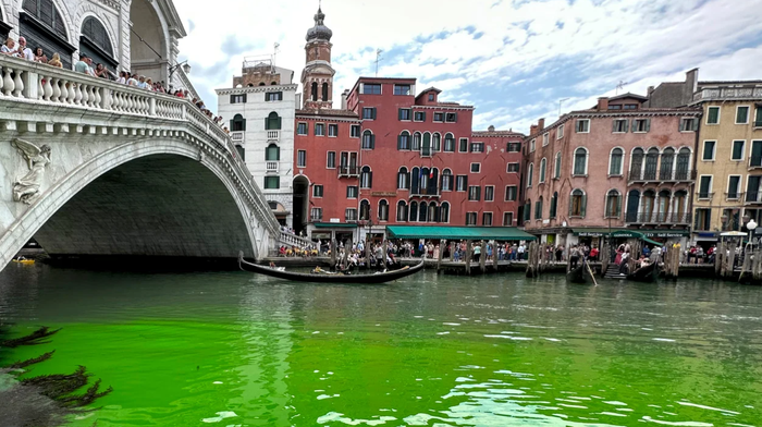 Kênh đào Venice đổi sang màu xanh lục là do nhóm chống biến đổi khí hậu? - Ảnh 2.
