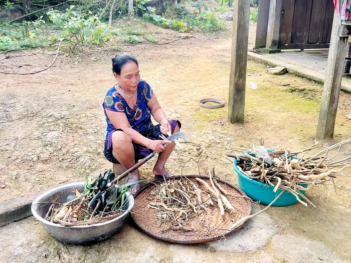 Người phụ nữ làm &quot;hồi sinh&quot; rượu cần men lá giữa đại ngàn Trường Sơn - Ảnh 2.