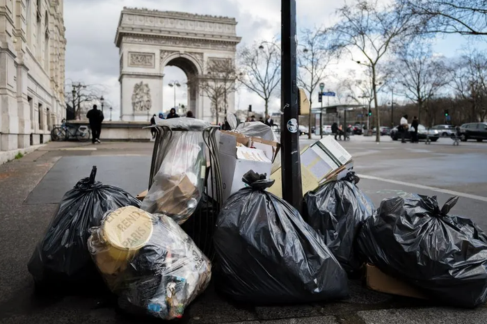 Đến lượt Paris bị chuột cống xâm chiếm, thành phố gấp rút tìm cách để “sống chung” với loài gặm nhấm - Ảnh 3.