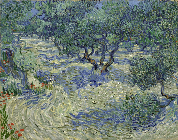 Phóng to bức tranh của danh họa Van Gogh hàng trăm lần, chuyên gia phát hiện bí mật ẩn giấu suốt 128 năm - Ảnh 1.