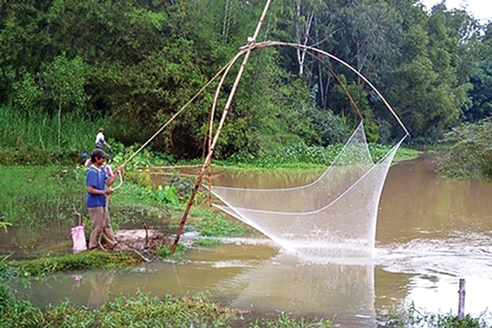 Câu đố: Đi thì túm, về thì banh/ Ngửi tanh tanh, mò ướt ướt” - Là cái gì? - Ảnh 1.