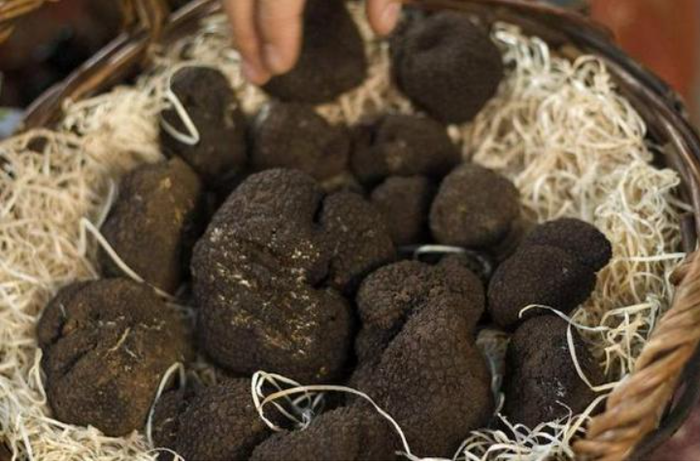 Lão nông đào được "hòn đá" đen xì tỏa mùi thơm, chuyên gia: 1 tỷ chỉ mua được 2 kg - Ảnh 4.