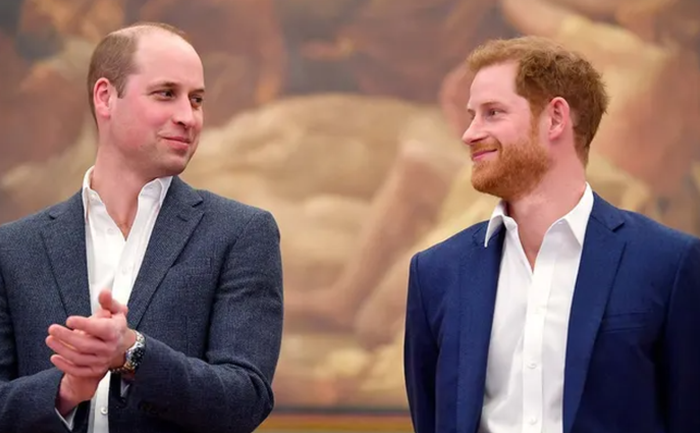 Harry nỗ lực tôn vinh di sản của cố Vương phi Diana - Ảnh 3.