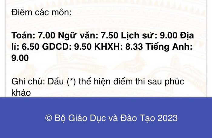 Diễn viên nhí Vbiz đạt 3 môn trên 9 điểm trong kỳ thi tốt nghiệp THPT 2023  - Ảnh 1.