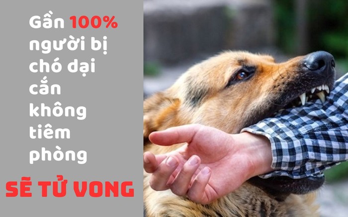 Liên tục ghi nhận các ca tử vong vì bệnh dại, nhiều người dân vẫn chủ quan