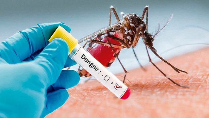 Các triệu chứng của sốt xuất huyết Dengue so với sốt Chikungunya khác nhau như thế nào? - Ảnh 3.