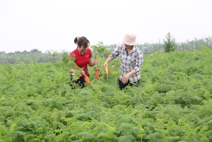 Ngành nông nghiệp nước nhà trong quá trình phát triển đã gặp nhiều khó khăn cần được sớm khắc phục