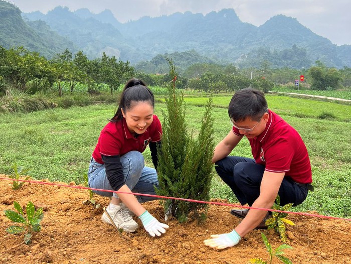 Các cán bộ Chi nhánh rất phấn khởi tham gia trồng cây để góp phần tạo thêm không gian xanh, thay đổi diện mạo cho các vùng nông thôn.