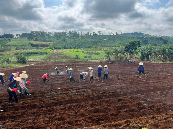 Phụ nữ Lâm Hà (Lâm Đồng) đẩy mạnh hoạt động Hội chung tay xây dựng nông thôn mới - Ảnh 3.