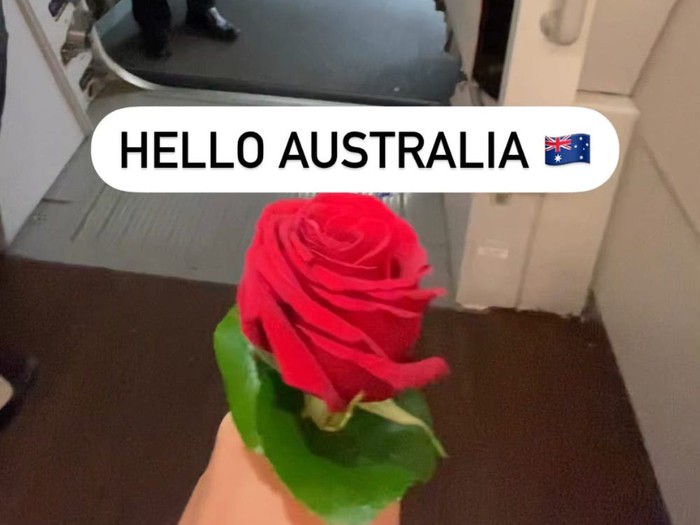 Mang hoa được tặng vào nước Úc mà quên kê khai, nữ hành khách bị phạt gần 30 triệu đồng - Ảnh 1.