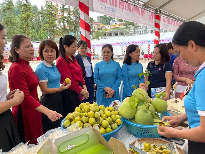 Công tác vận động, hỗ trợ phụ nữ phát triển kinh tế của Hội LHPN Việt Nam có nhiều khởi sắc (bài 2)  - Ảnh 2.