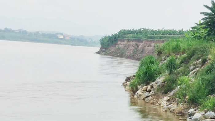 Lo “chạy lở” ở sông Thao
 - Ảnh 3.