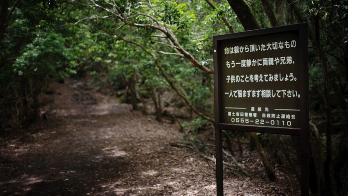 “Cánh rừng tự sát” nổi danh của Nhật Bản hiện ra sao sau nhiều năm mang đầy truyền thuyết ám ảnh? - Ảnh 2.