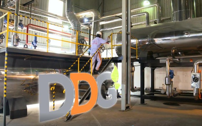 Điều gì khiến giá cổ phiếu DDG lao dốc &quot;từ bát phở xuống bằng cốc trà&quot;?