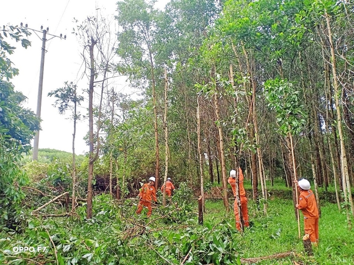 Tiếp tục đẩy mạnh tuyên truyền, phổ biến về an toàn điện, sử dụng điện tiết kiệm và hiệu quả - Ảnh 3.