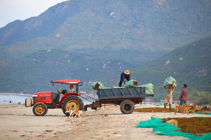 Căn nhà có kiến trúc đặc biệt của đại gia Đức An xây tặng vợ Phan Như Thảo - Ảnh 12.