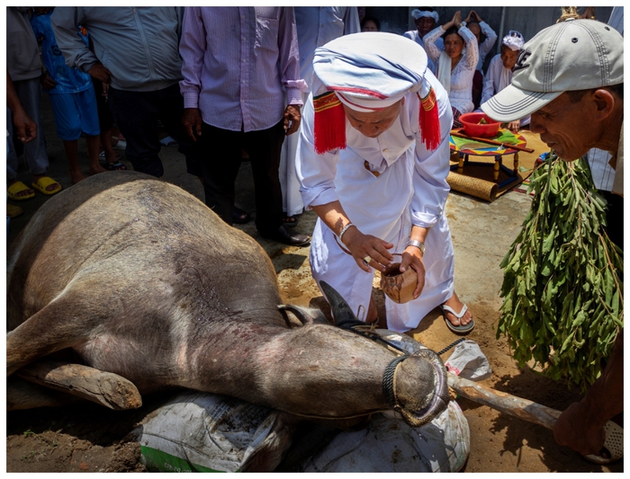 Độc đáo lễ Ndam Padhi người Chăm Bani ở Ninh Thuận  - Ảnh 5.
