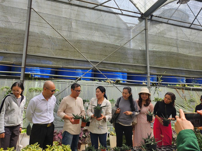 Hỗ trợ nhà sản xuất đưa nông sản tỉnh Lâm Đồng vào thị trường TPHCM     - Ảnh 3.