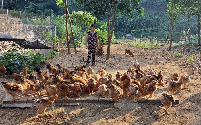 Mong phụ nữ Đề Thám có cơ hội quảng bá, tìm đầu ra bền vững cho sản phẩm - Ảnh 4.