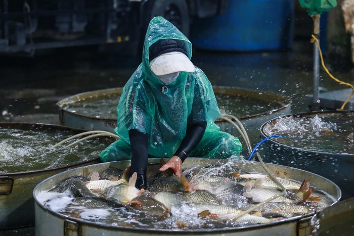 Hà Nội lạnh 9 độ C: Tiểu thương chợ cá Yên Sở tấy đỏ đôi bàn tay do ngâm nước nhiều giờ đồng hồ- Ảnh 9.