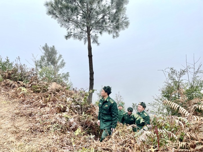 Bộ đội biên phòng Hà Giang đi tuần tra trong băng giá- Ảnh 4.
