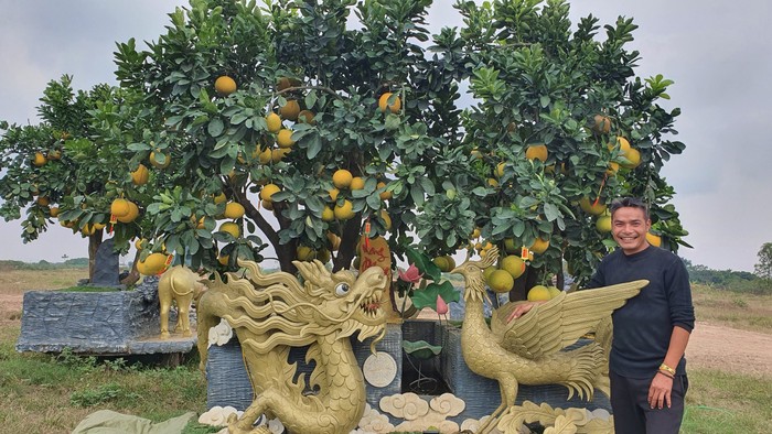 Vườn bưởi Tết cổ tích "độc không đụng hàng" hút khách ở Hưng Yên- Ảnh 1.