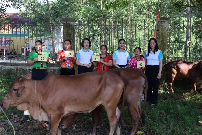 Bài 2: 
Hội LHPN Việt Nam chung tay giúp hội viên dân tộc thiểu số ở Nghệ An giảm nghèo bền vững- Ảnh 4.