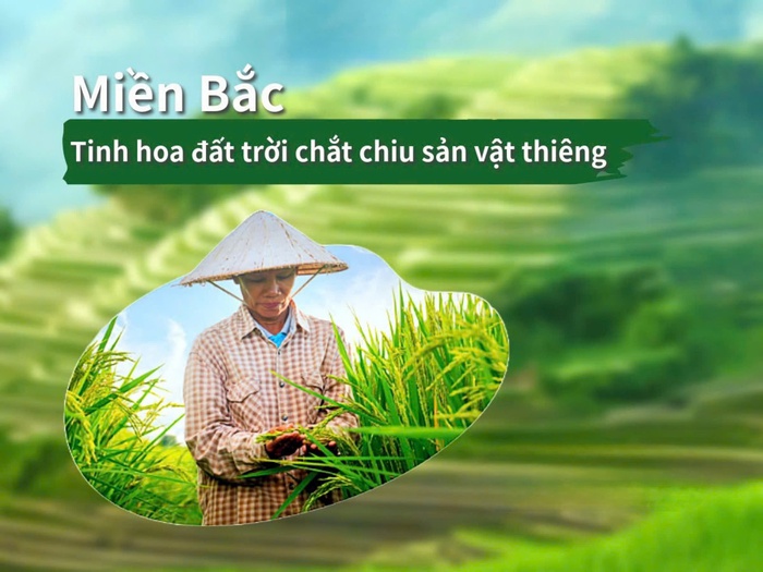 Nông sản vùng sâu, vùng xa, miền núi và hải đảo lên sàn thương mại điện tử- Ảnh 2.