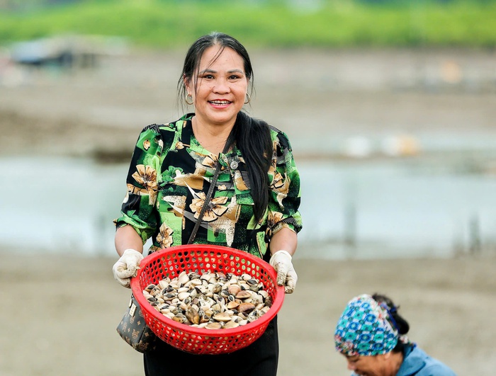 Đẩy mạnh sản xuất theo quy mô hàng hóa, tăng hiệu quả nghề nuôi ngao ở các bãi triều - Ảnh 1.