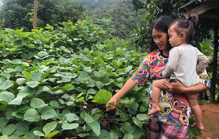 Cải thiện dinh dưỡng cho phụ nữ mang thai vùng đồng bào dân tộc thiểu số- Ảnh 1.