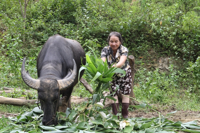 Nguy cơ sạt lở ở Hòa Bình: Người dân thấp thỏm trong cảnh có nhà nhưng không thể về- Ảnh 5.