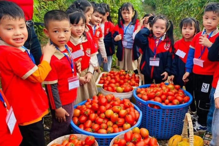 Giải pháp bán thực phẩm an toàn trực tuyến của các doanh nghiệp “xanh”- Ảnh 2.