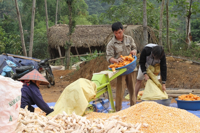 Làng Nủ mới đã thành hình- Ảnh 3.