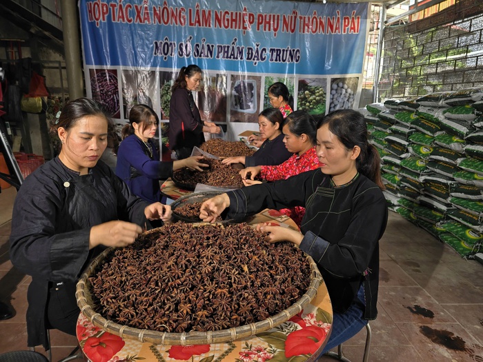 Lạng Sơn: Cùng phụ nữ miền núi phát triển thị trường, tìm đầu ra cho sản phẩm - Ảnh 1.