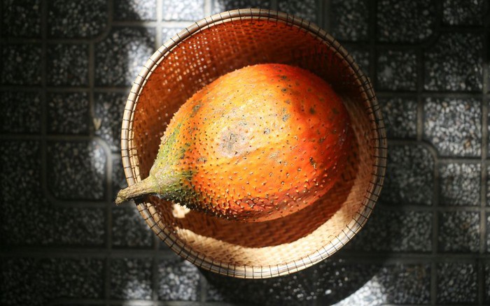 Chọn gấc tươi