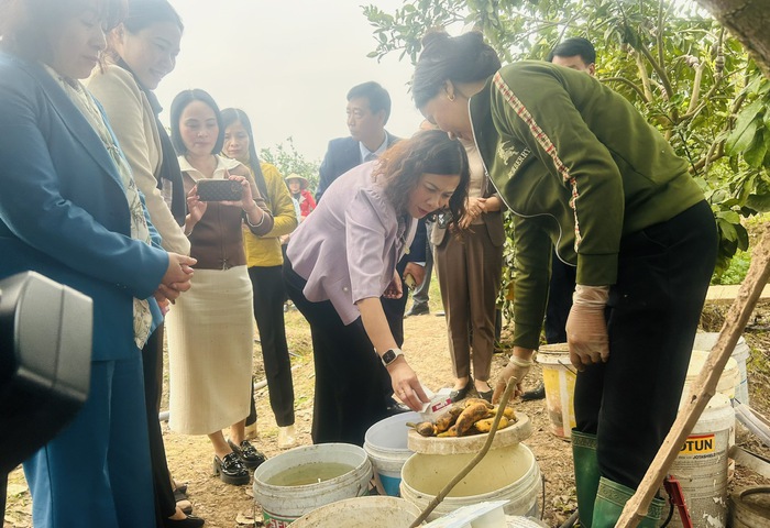 Hội LHPN Hưng Yên chia sẻ kinh nghiệm phân loại, xử lý rác thải sinh hoạt tại hộ gia đình với phụ nữ Hải Dương- Ảnh 1.