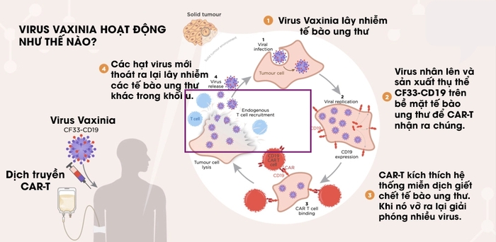 Virus không phải lúc nào cũng là kẻ phản diện, đây là 5 cách loài người "liên minh" với virus để chống lại bệnh tật- Ảnh 5.
