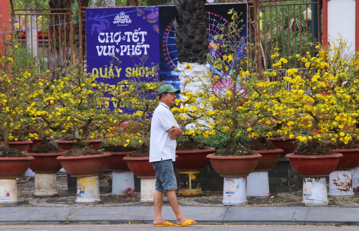 Vắng bóng "thượng đế", tiểu thương tại chợ hoa Tết lớn nhất Đà Nẵng đứng ngồi không yên- Ảnh 4.