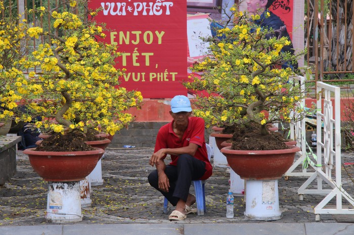 Vắng bóng "thượng đế", tiểu thương tại chợ hoa Tết lớn nhất Đà Nẵng đứng ngồi không yên- Ảnh 2.